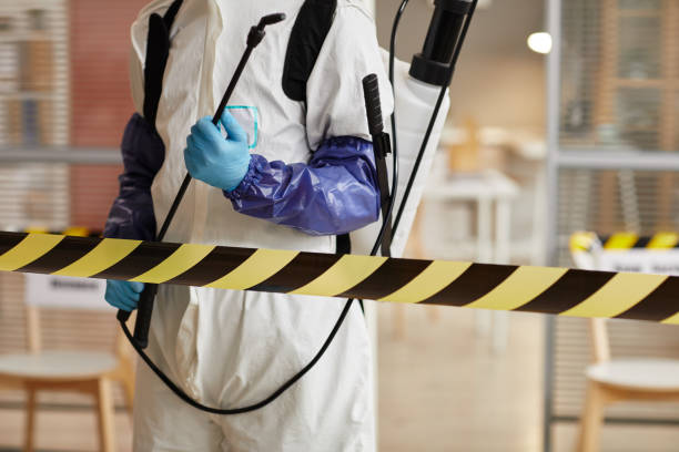 Professional Sewage Cleanup technician working in Riverbank, CA
